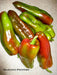 Marconi SWEET Pepper Seeds ,CAPSICUM annuum - Caribbean garden seed