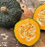 Marina di Chioggia  Pumpkin SEEDS (WINTER SQUASH) ITALLIAN  HEIRLOOM Vegetable - Caribbean garden seed