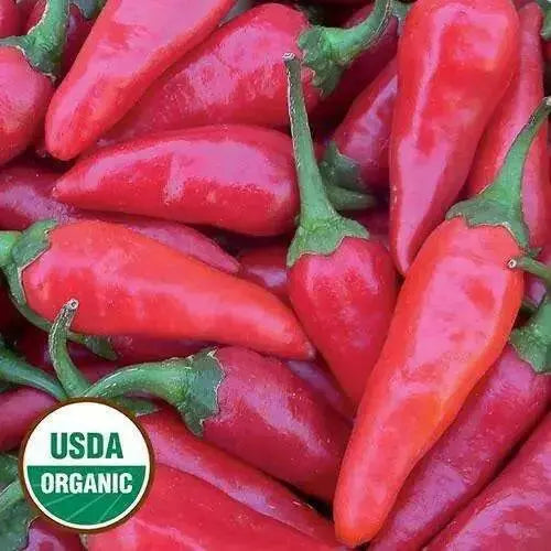 Martin's Carrot Pepper SEEDS, Capsicum annuum - Caribbean garden seed