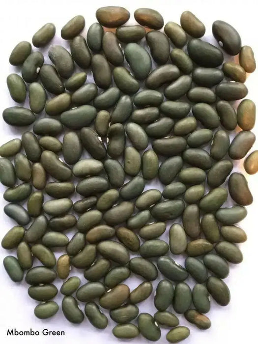 mbombo green bean seed, Pole Bean - Caribbean garden seed