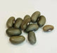 mbombo green bean seed, Pole Bean - Caribbean garden seed