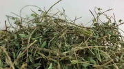 Medina popular Jamaican herb,1/4 OZ PACK - Caribbean garden seed