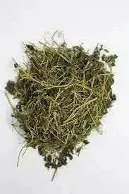 Medina popular Jamaican herb,1/4 OZ PACK - Caribbean garden seed