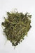 Medina popular Jamaican herb,1/4 OZ PACK - Caribbean garden seed
