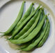 MCCASLAN BEAN SEEDS Heirloom Pole Bean,Organic,Stringless, - Caribbean garden seed