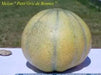 Melon Seeds, "Petit Gris de Rennes"  (Cucumis melo) Certified Organic,Heirloom ! - Caribbean garden seed