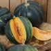Melon Seeds, "Noir des Carmes " HEIRLOOM VINE - Caribbean garden seed