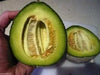 Melon Seed"Green Nutmeg" Heirloom, - Caribbean garden seed