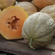 Melon Seeds, "Pride of Wisconsin"  (Cucumis melo) ,Heirloom cantaloupes! - Caribbean garden seed