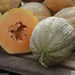 Melon Seeds, "Pride of Wisconsin"  (Cucumis melo) ,Heirloom cantaloupes! - Caribbean garden seed