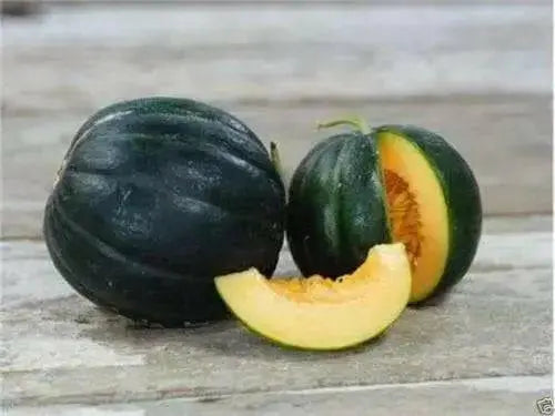 Melon Seeds,"Noir des Carmes "  a.k.a. Black Rock (Cucumis melo) French Heirloom - Caribbean garden seed