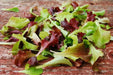 Mesclun Mix Seeds, All Lettuce Salad BLEND - Caribbean garden seed