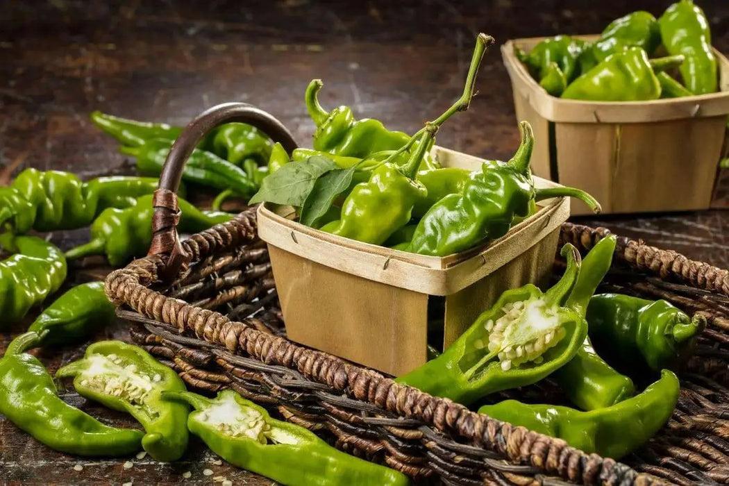 Melrose Sweet Pepper SEEDS, Capsicum annuum - Caribbean garden seed