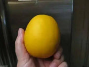 Melons Seeds , VINE PEACH, - Caribbean garden seed