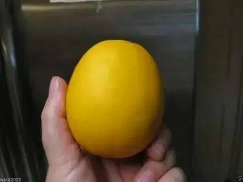 Melons Seeds , VINE PEACH, - Caribbean garden seed