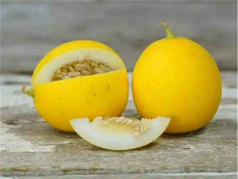 Melons Seeds , VINE PEACH, - Caribbean garden seed