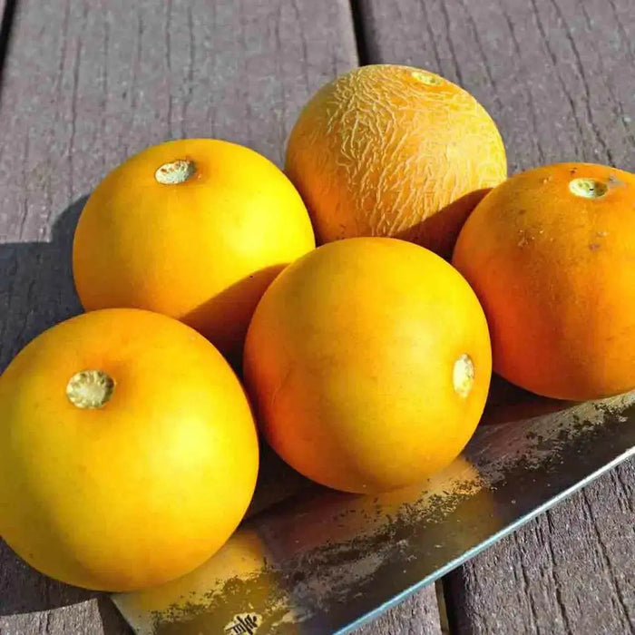 Melons Seeds , VINE PEACH, - Caribbean garden seed