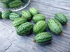 Mexican Cucumber SEEDS, ANNUAL VEGETABLE - Caribbean garden seed
