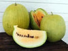 Missouri Heirloom Watermelon seeds -Yellow Flesh~Non-GMO - Caribbean garden seed
