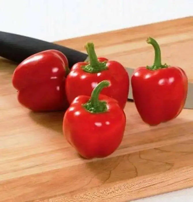 Mini red Bell Pepper Seeds,  - Capsicum annuum ,Organically Grown - Caribbean garden seed