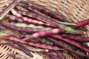 Mississippi Purple Southern PEA (Brown crowder, )  A  Peas,Great Flavor, Shell pea - Caribbean garden seed