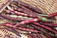 Mississippi Purple Southern PEA (Brown crowder, )  A  Peas,Great Flavor, Shell pea - Caribbean garden seed