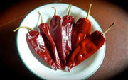 Mirasol pepper SEEDS, Capsicum annuum,-Organically Grown ! - Caribbean garden seed