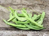 Missouri Wonder Pole Bean Seeds. ANNUAL VEGETABLE - Caribbean garden seed