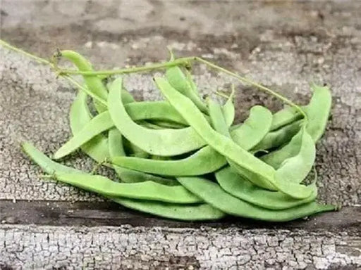 Missouri Wonder Pole Bean Seeds. ANNUAL VEGETABLE - Caribbean garden seed