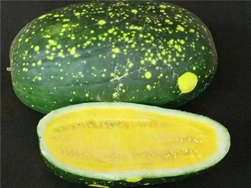 Moon & Stars-Yellow Watermelon seeds ,Certified Organic ,Non-GMO Heirloom - Caribbean garden seed