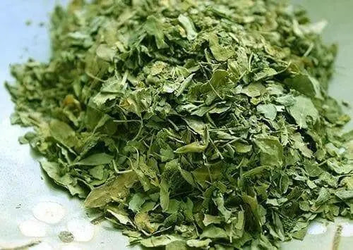 Moringa Leaf ,Dried rough cut Leaf - Caribbean garden seed