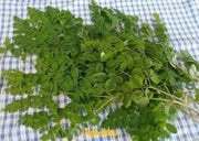 Moringa Leaf ,Dried rough cut Leaf - Caribbean garden seed