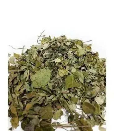 Moringa Leaf ,Dried rough cut Leaf - Caribbean garden seed