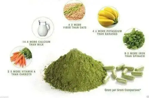 Moringa Leaf ,Dried rough cut Leaf - Caribbean garden seed