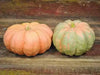 MORANGA SQUASH  SeedS, PINK PUMPKIN, WINTER SQUASH - Caribbean garden seed