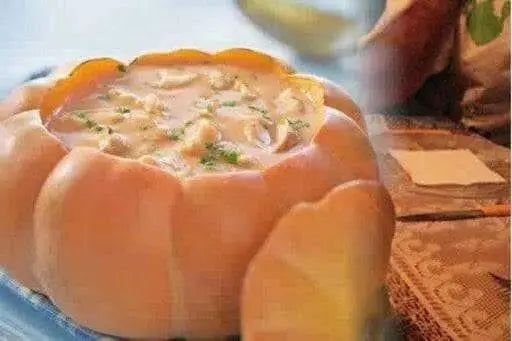 MORANGA SQUASH  SeedS, PINK PUMPKIN, WINTER SQUASH - Caribbean garden seed