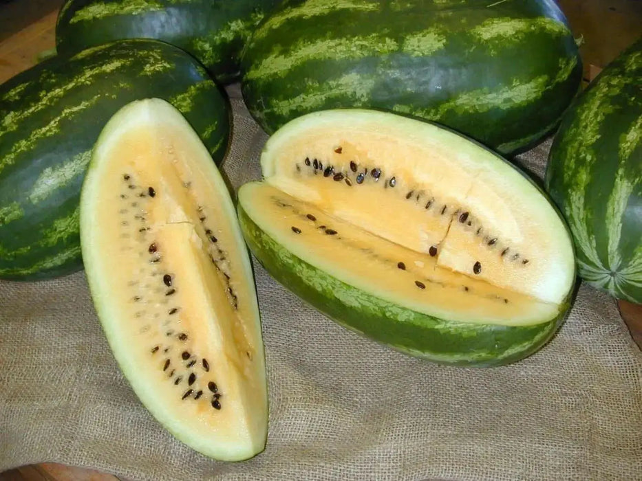 Mountain Sweet Yellow Watermelon Seeds -Certified Organic , Non-GMO Heirloom - Caribbean garden seed