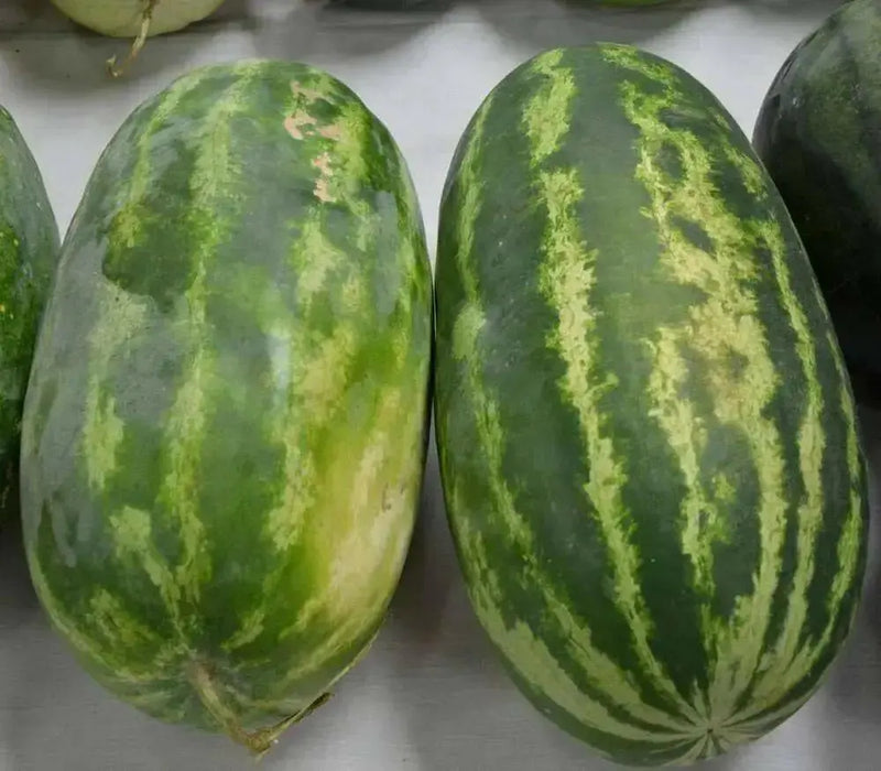 Mountain Sweet Yellow Watermelon Seeds -Certified Organic , Non-GMO Heirloom - Caribbean garden seed