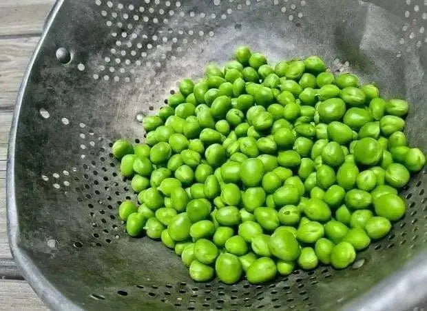 Mr. Big Shelling Pea Seeds, easy to grow, disease resistant - Caribbean garden seed