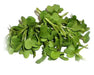 Mustard Microgreen - Spicy Brown, Grow Year round - Caribbean garden seed