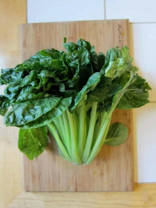 MUSTARD SEEDS, TATSOI SAVOY , Asian Vegetable - Caribbean garden seed