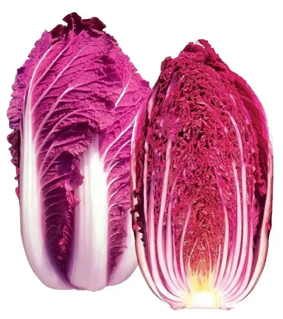 NAPA CABBAGE