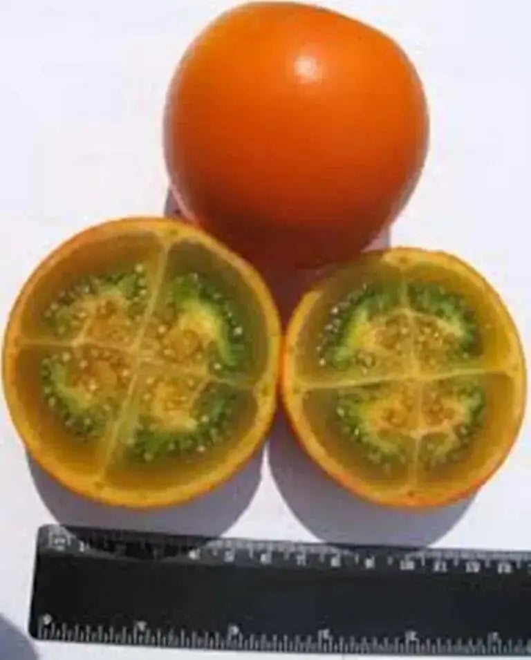 Naranjilla - Lulo - Seeds- Rare Tropical Fruit - Solanum Quitoense - Caribbean garden seed