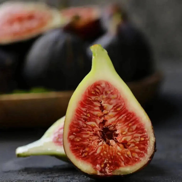 Negronne Fig,Fruit Tree,Perennial shrub, 1 Plant , - Caribbean garden seed