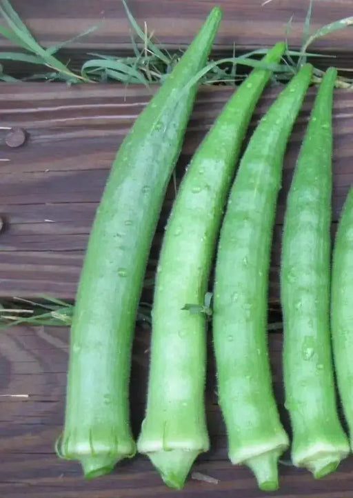 Nombo Giant Philippine Okra Seeds , Bhindi , Gumbo ,Asian Vegetable - Caribbean garden seed