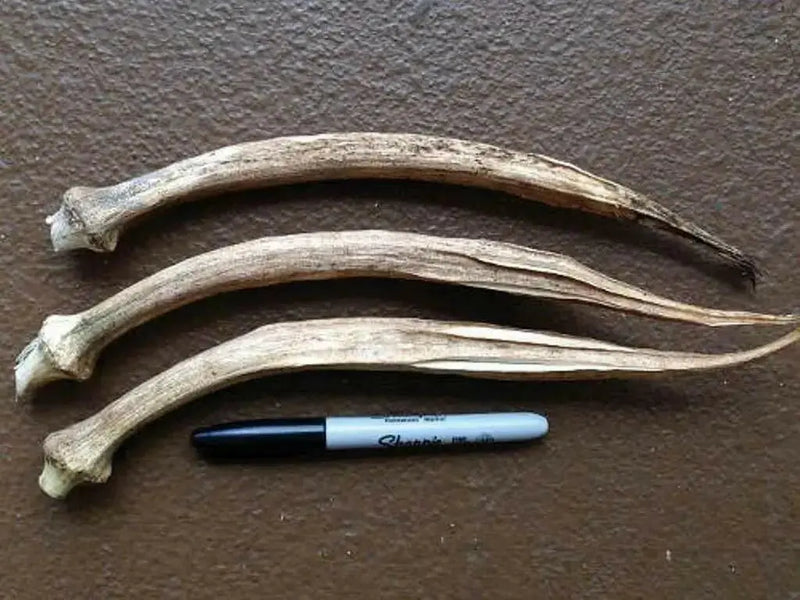 Nombo Giant Philippine Okra Seeds , Bhindi , Gumbo ,Asian Vegetable - Caribbean garden seed