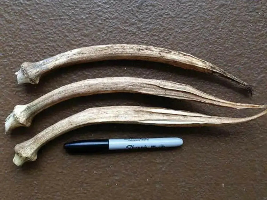 Nombo Giant Philippine Okra Seeds , Bhindi , Gumbo ,Asian Vegetable - Caribbean garden seed