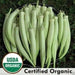 Okra seeds, "Silver Queen" , -(Abelmoschus esculentus) Heirloom !.