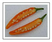 Onza Amarillo -HOT PEPPER SEEDS - Capsicum annuum, ANNUAL VEGETABLE - Caribbean garden seed