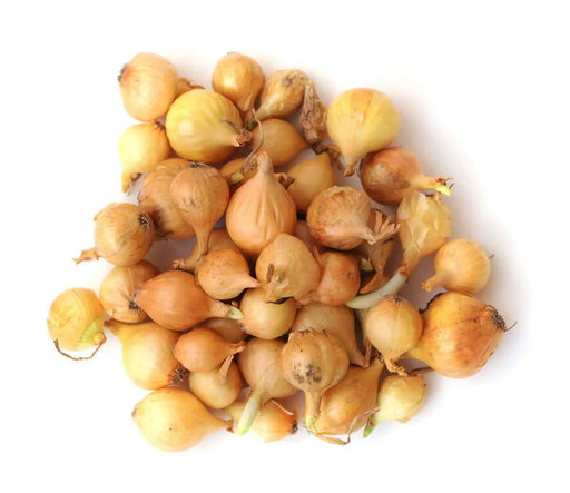 ONION SETS YELLOW (Long day onion) Open-Pollinated Garden Vegetable - Caribbean garden seed